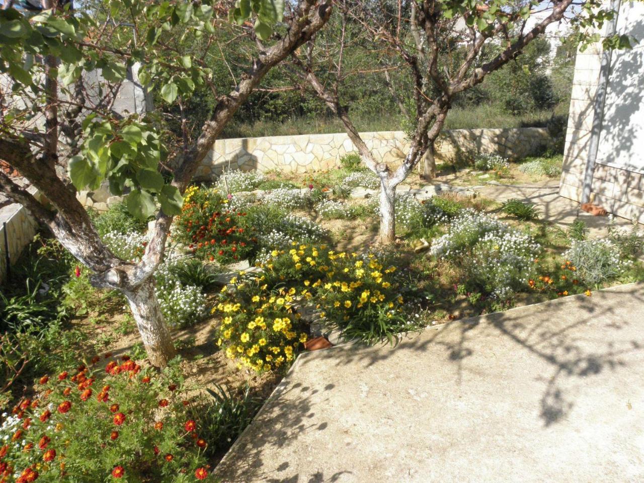 Apartments Brane - 180M To The Sea Vrsi Εξωτερικό φωτογραφία